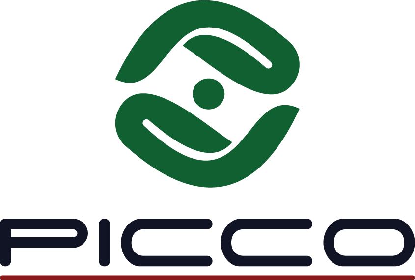 PICCO BENT CONSULTANCY LIMITED-logo