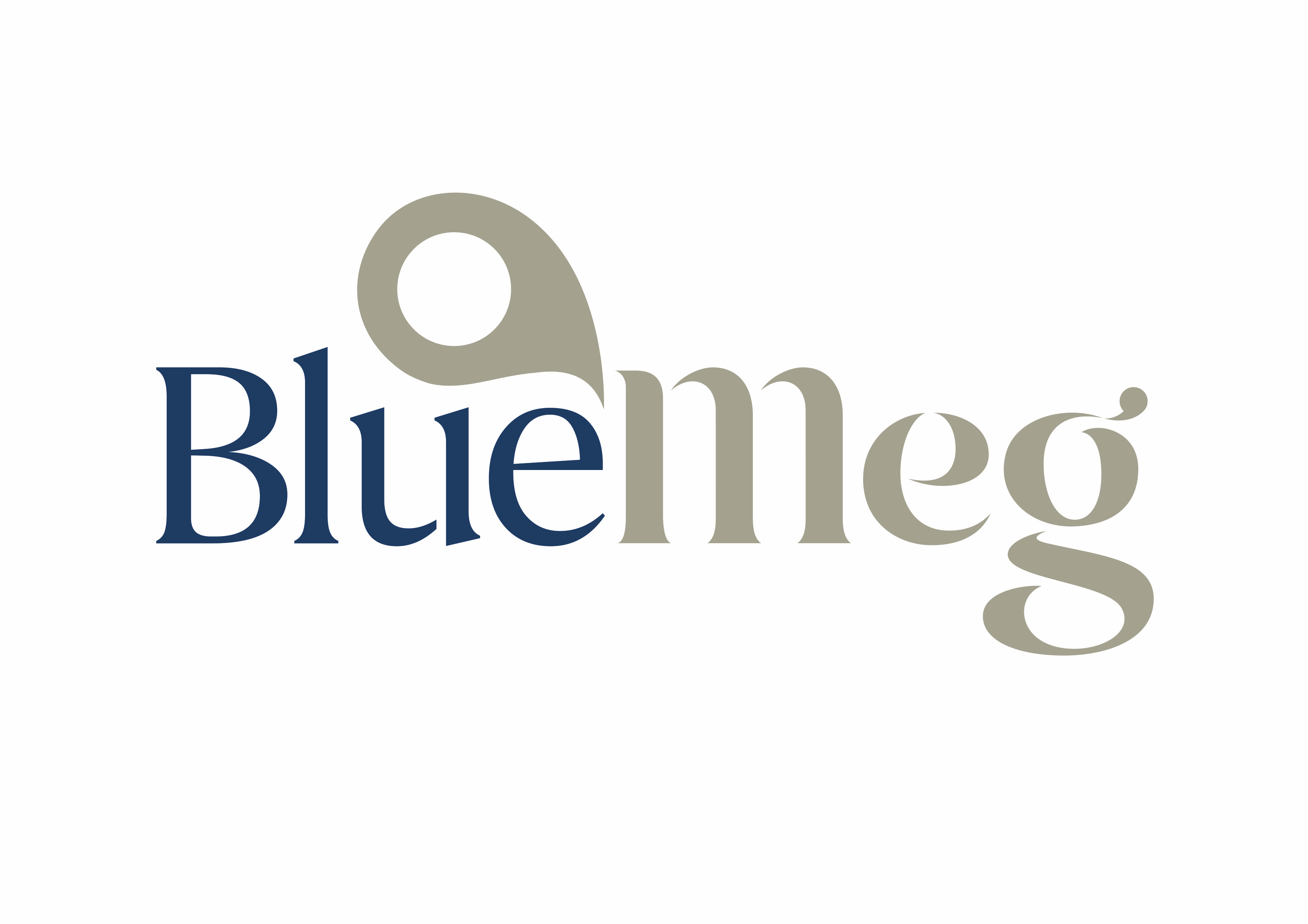 BlueMeg (Singapore) Pte Ltd-logo
