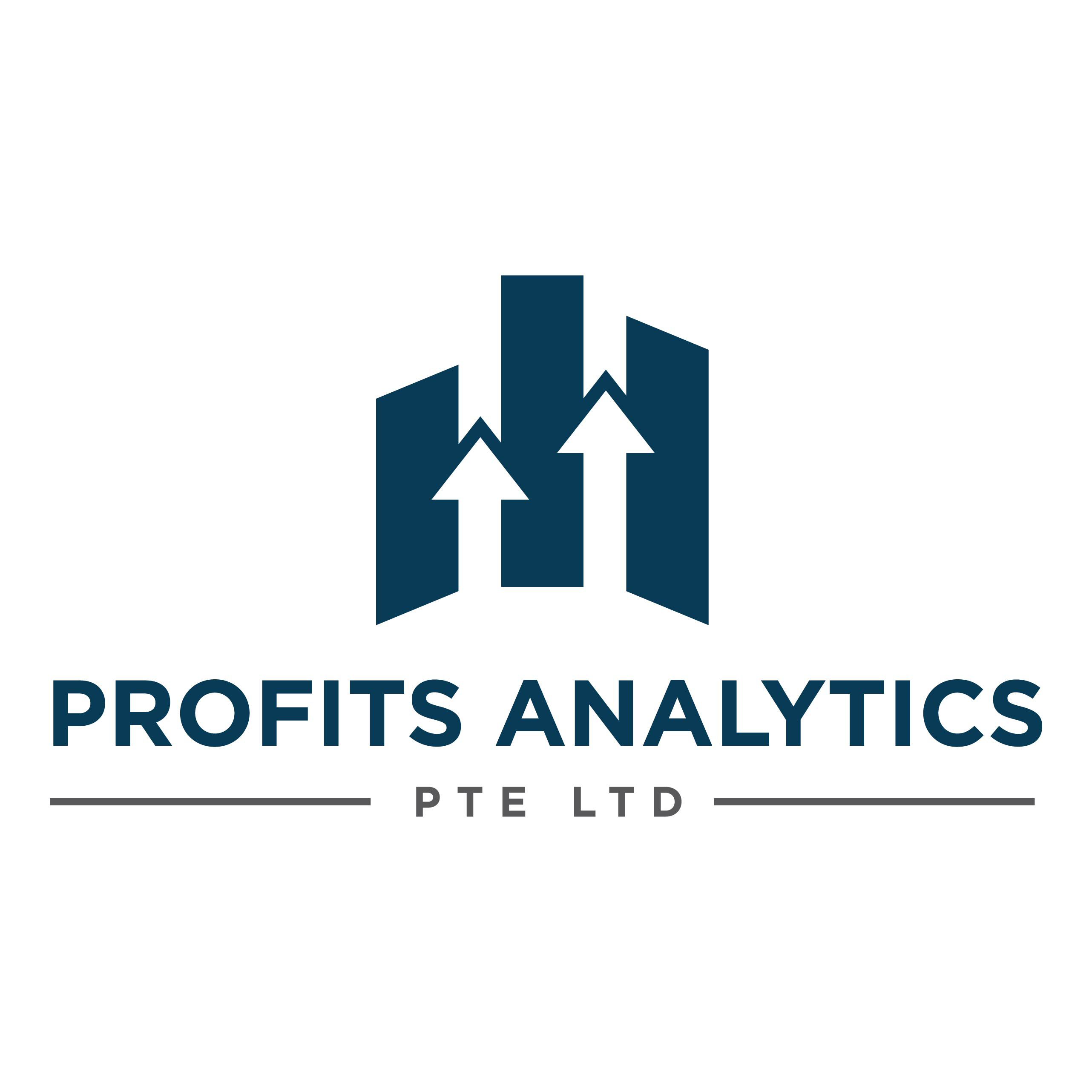 Profits Analytics - Accountant for Solopreneurs and Millennial Entrepreneurs-logo